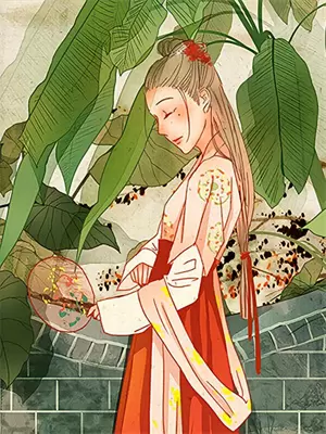 人生若只如初见小说清朝